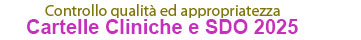 Controllo Cartelle Cliniche 2024